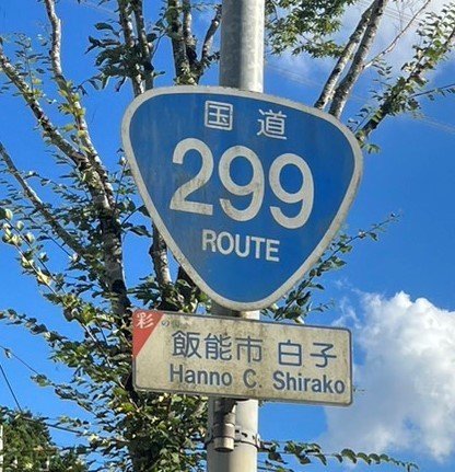 国道299号標識（撮影／集英社オンライン）