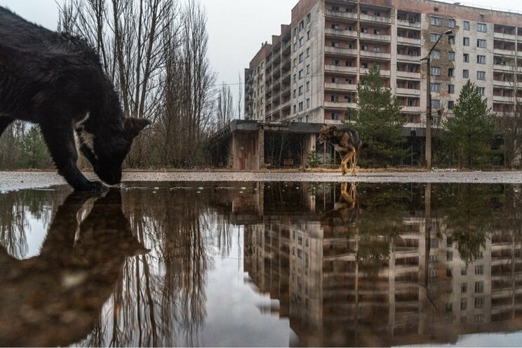 写真はイメージです　（写真／Shutterstock）