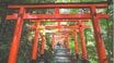 神社に「呼ばれている人」「拒まれている人」に起こること——雨、風、動物が伝える相性のサイン