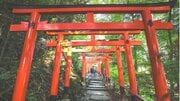 神社に「呼ばれている人」「拒まれている人」に起こること——雨、風、動物が伝える相性のサイン