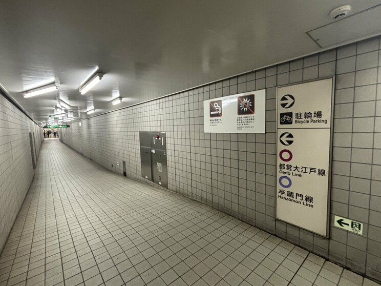 特徴はないけれど、なんだか不気味？（写真／集英社オンライン）