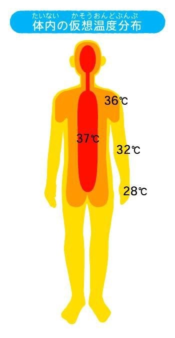 正常な深部体温