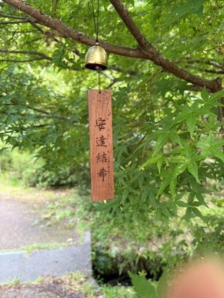 （撮影／集英社オンライン）