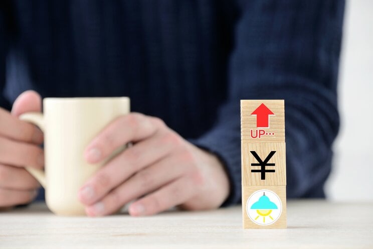 「太陽光で電気代ゼロ！」の落とし穴…政治判断ミスを後押しした大手メディアと暗躍する企業、ツケを払い続ける日本国民_1