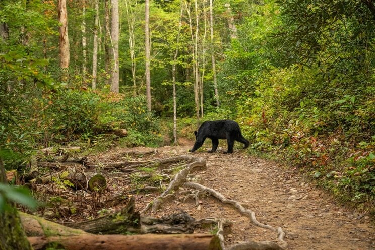 写真はイメージです（写真／Shutterstock）