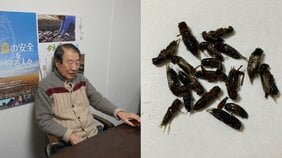 〈コオロギ食論争に元大臣が警鐘〉「私は食べるべきではないと思っています」元農林水産大臣・山田正彦氏(80)が語るコオロギ食が“ヤバイ理由”とは…