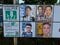 補埼玉県議補選の選挙ポスター（撮影／集英社オンライン）