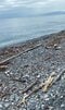 遺体遺棄現場付近の海岸(撮影/集英社オンライン)