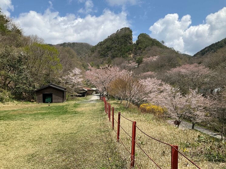 道遊の割戸。開発初期の採掘地とされる江戸時代の露天掘り跡。巨大な金脈を掘り進むうちに山がV字に割れたような姿になっている