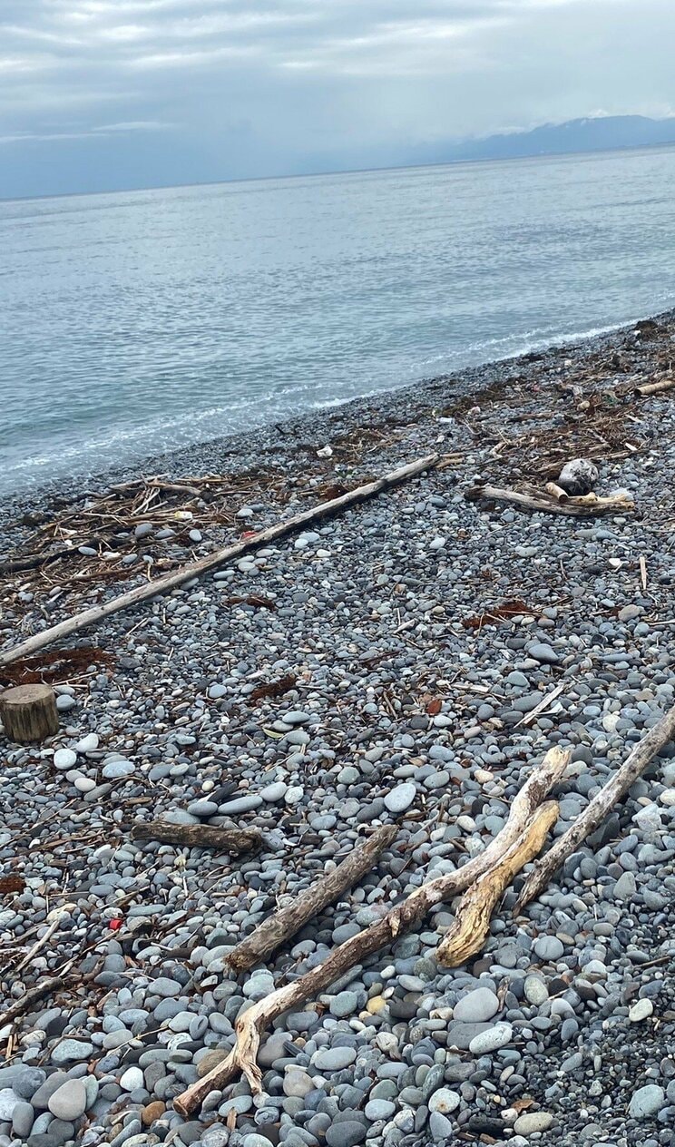 遺体遺棄現場付近の海岸（撮影／集英社オンライン）