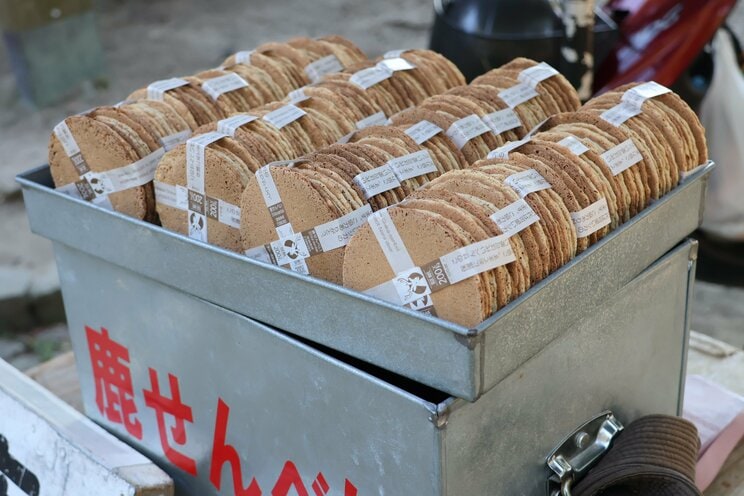 奈良公園内に「しかせんべい」の自販機登場で、露天のおばちゃんたちが廃業の危機⁉_1