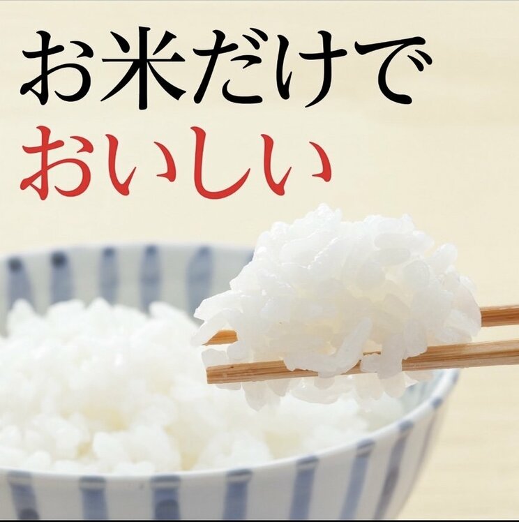 「お米だけでおいしい」と打ち出していたほっかほっか亭(公式Xより)