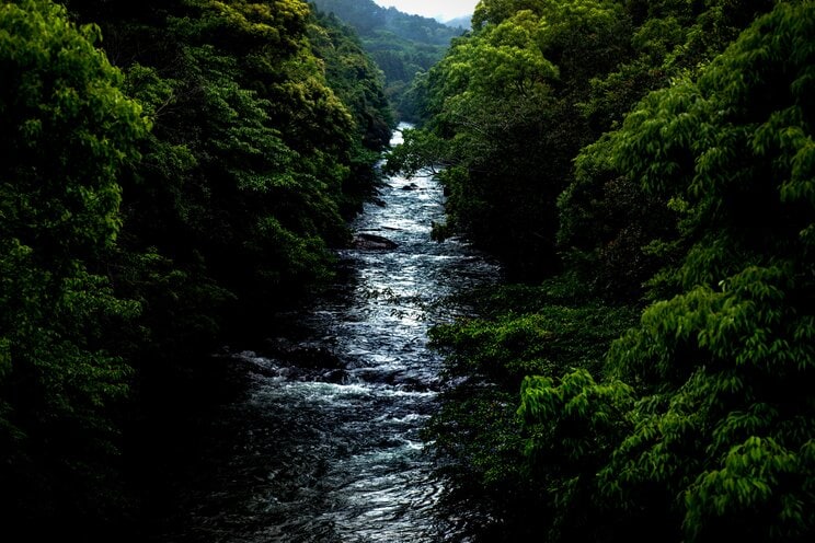 写真はイメージです（写真／PhotoAC）