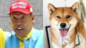 立花孝志宅がイヤすぎる? 恐るべき脱走能力をもつ愛犬・サスケの現在…エレベーターに乗り、とにかく逃げる! 麻布署員にも顔なじみ