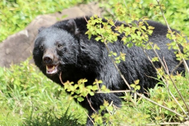 写真はイメージです（PhotoAC）