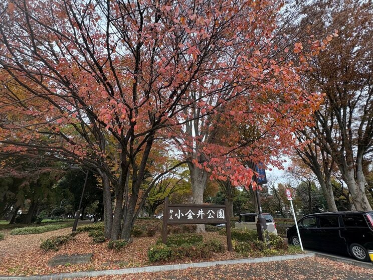 小金井公園正門口付近（写真／集英社オンライン）