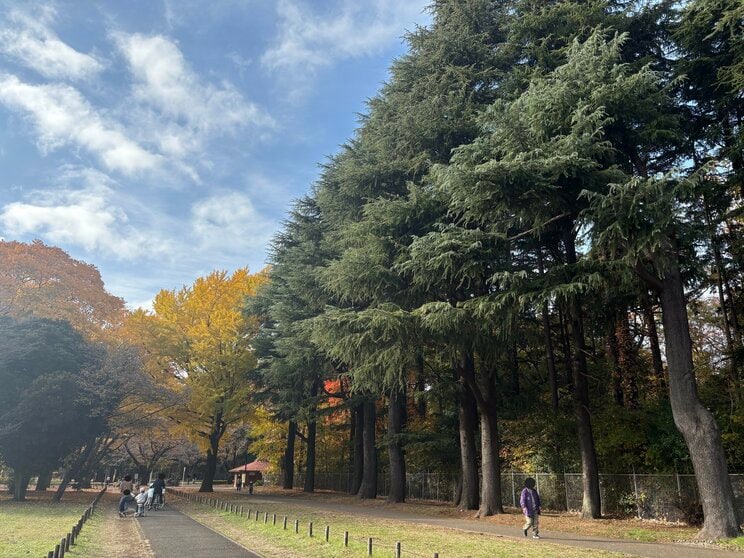 小金井公園内の道 （写真／集英社オンライン）