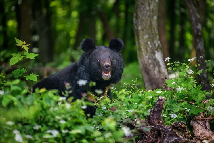 写真はイメージです（写真／Shutterstock）