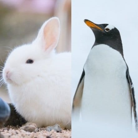 写真はイメージです（写真／PhotoAC）