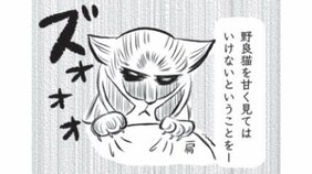 【保護ネコ漫画あり】血だらけ狂暴ネコ“足湯さん”との戦い。警戒心むきだしだった彼が家族となり、どんどん甘えん坊になっていくまで