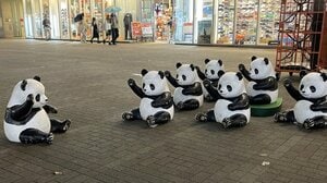 日中関係悪化で「会いに行けない」…和歌山“浜家パンダロス”に揺れる