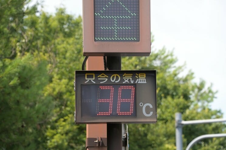 「今さら何を観察しろと？」朝顔、ミニトマトが猛暑で夏休み前に力尽きる…小学生の宿題に異変「教材としてうまく育てるのが難しい状況にある」と専門家、保護者も困惑_20