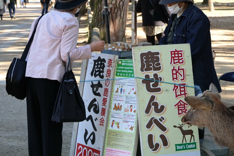 奈良公園内に「しかせんべい」の自販機登場で、露天のおばちゃんたちが廃業の危機⁉_4