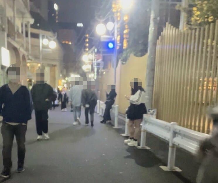 大久保公園に戻ってきた立ちんぼたち(撮影/集英社オンライン)