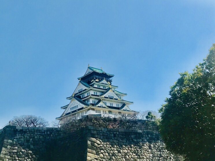 徳川家康＝狸親父を決定づけた「大坂の陣」での卑怯技…23歳の豊臣秀頼を自害に追い込んだ「攻めの手口」の真意とは_4