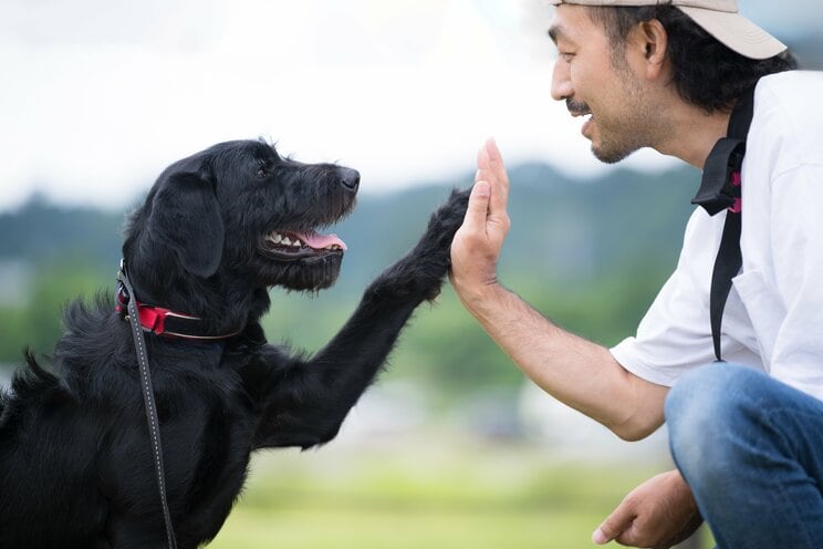 写真／Shutterstock ※写真はイメージ