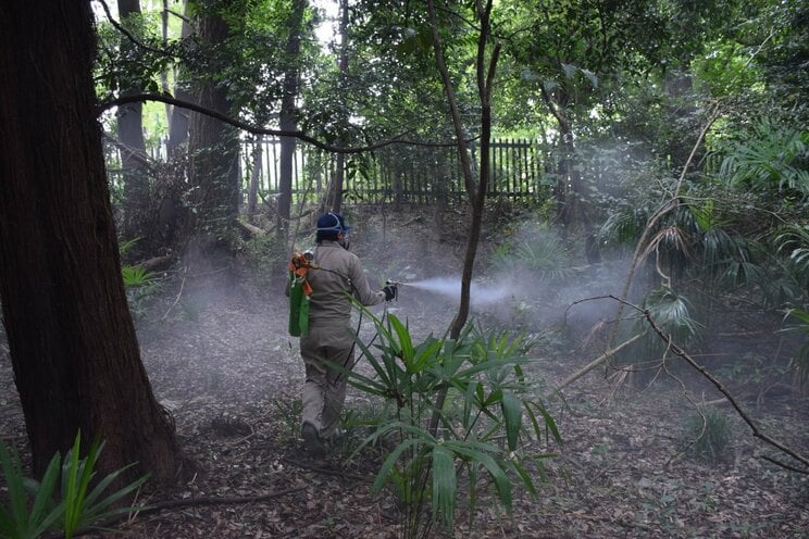 殺虫剤で蚊の駆除作業をする様子（提供／日本ペストコントロール協会）