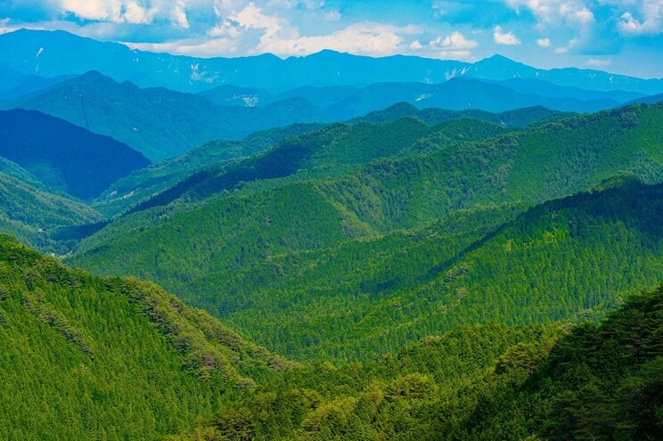 高野山の山並み（PhotoACより）