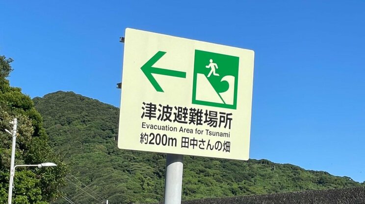 （写真／高知かわうそ市場）