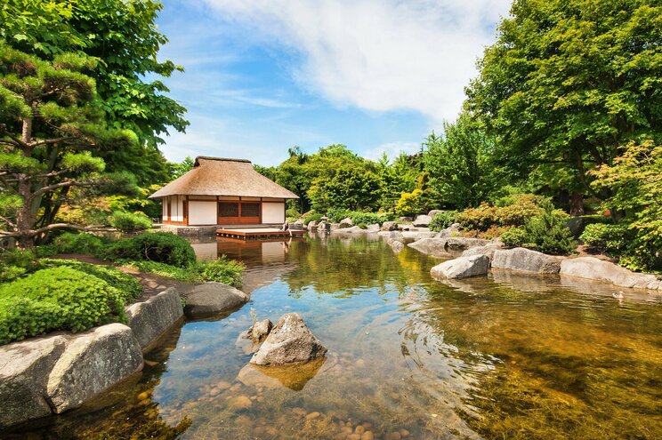 あの織田信長が感激した徳川家康の完璧すぎる接待の詳細…そして接待を大失敗した明智光秀が決意した本能寺の変_2