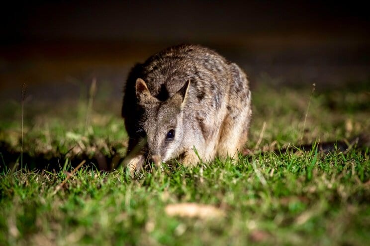 写真はイメージです（写真／Shutterstock）