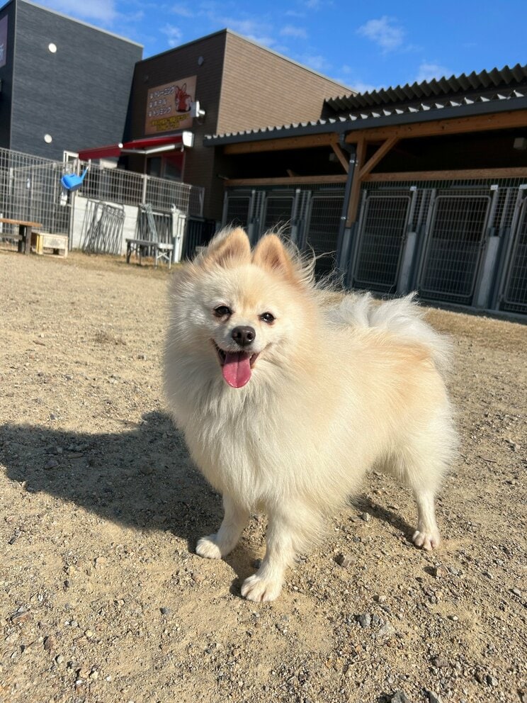 ハク号（写真／竹越さん提供）