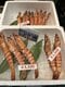エビ1尾3500円