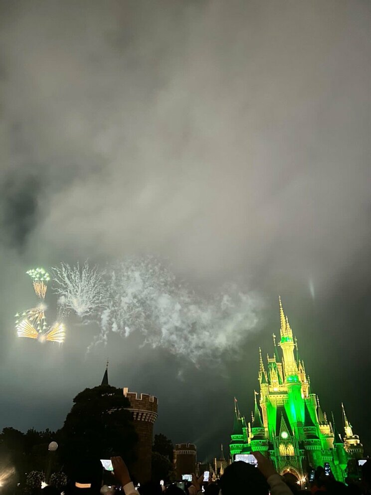 ディズニーの1日を締めくくる名物の花火（写真／読者提供）