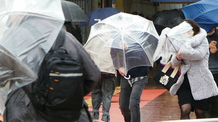 〈台風休校パニック〉「学校から連絡ない」判断が分かれた自治体「子どもは喜び、友達とゲームざんまい…でも塾はある」保護者は戸惑いの声…休校したら振り替え登校はあるの？_25