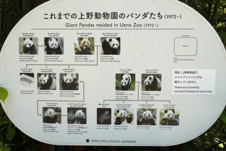 7月25日、上野動物園にいたパンダを紹介する展示（撮影／集英社オンライン）
