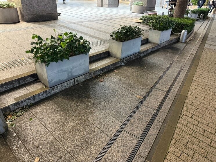 物理的に座れないようにプランターを設置しているところも(撮影/集英社オンライン)