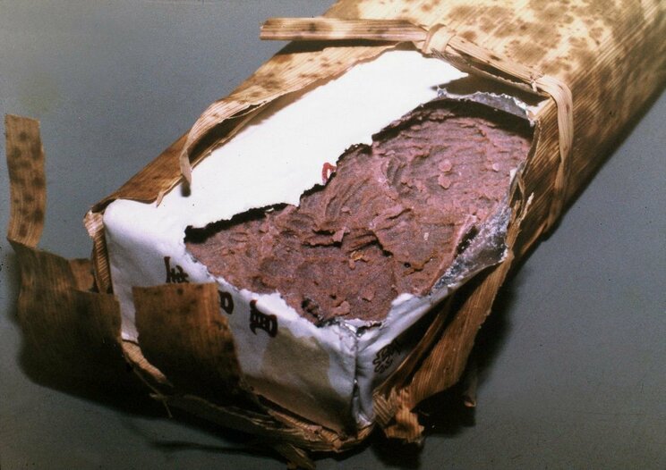 ネズミがかじった食べ物（写真／アペックス産業㈱）