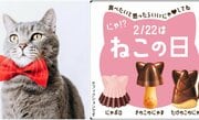 〈猫の日に大バズリ〉「にゃポロ」「ピザキャット」…企業SNS投稿はエイプリルフールを超える定番に? 「流行を意識していますか?」各社の見解を聞いてみた