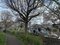 都立芦花公園(写真/集英社オンライン)