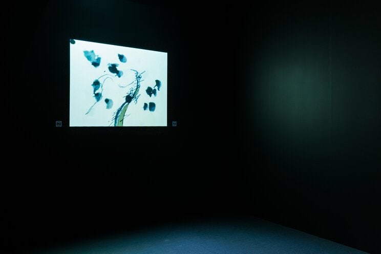 「細田守の原点/展」では細田監督が初めて作ったアニメーションの展示も（撮影／山本倫子）