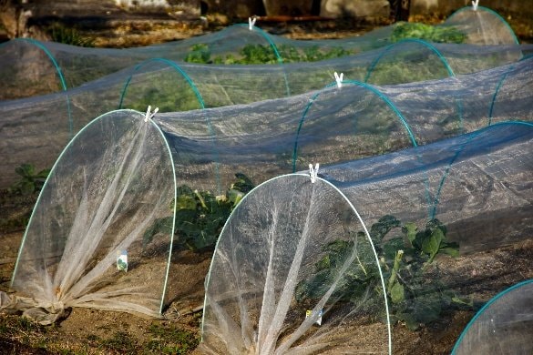 日よけなどに使う「寒冷紗」（写真／PhotoAC）