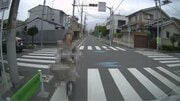 〈現場検証〉ネットで大炎上「ママチャリおばさん」はなぜ怒ったのか? 動画には映らなかった“標識”と“時間”の謎。近隣主婦たちはウンザリ「信号無視はダメ。でも晒すのは…」「ユーチューバーがたくさんやって来て不安」