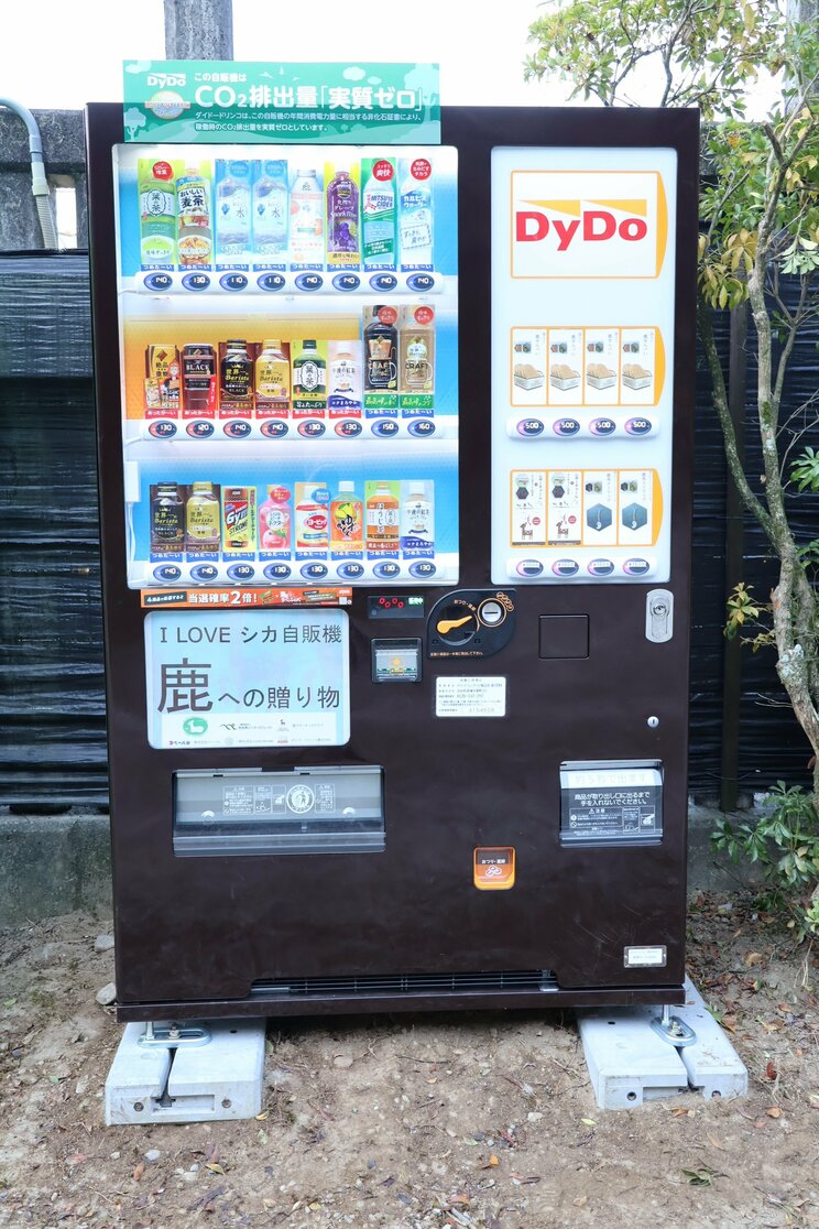 奈良公園内に「しかせんべい」の自販機登場で、露天のおばちゃんたちが廃業の危機⁉_2