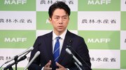 見えた？ 小泉進次郎「コメ値下げ」で総理大臣への道…おもな実績「レジ袋有料化」の人物に日本の農政を変えられるのか