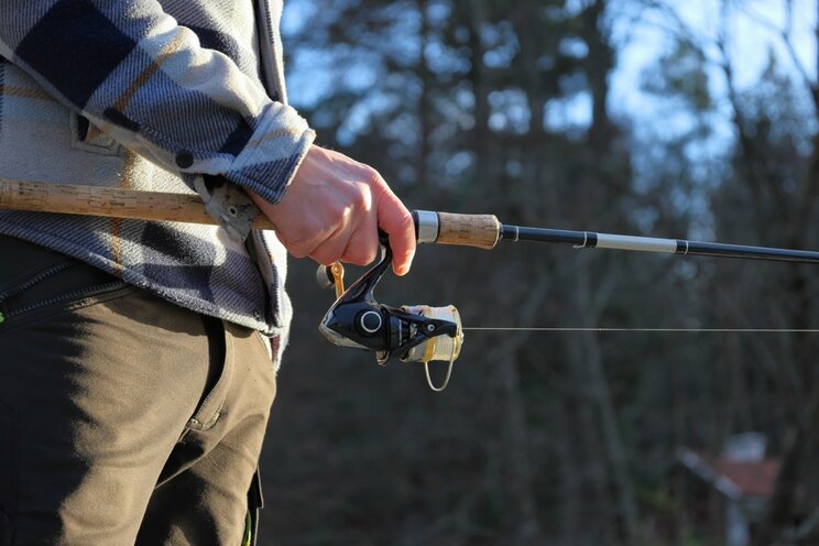 (写真/Shutterstock)